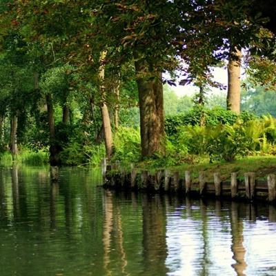 摩托特技表演赛