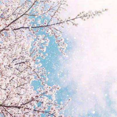 虚空传奇2中文版