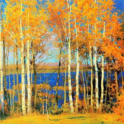 滑雪小子的挑战